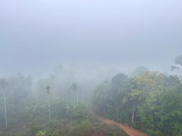 Wayanad Vista Service Apartment Esterno foto